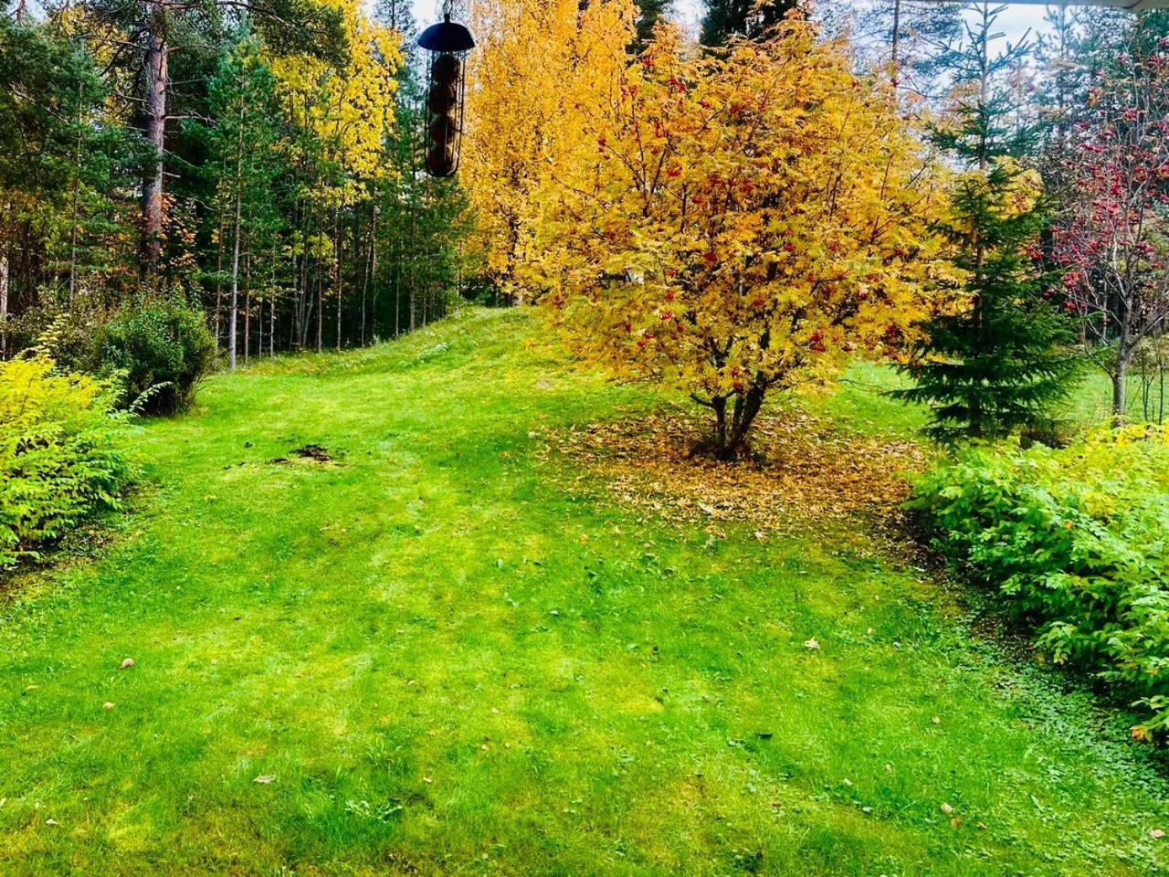 Holiday Home, Entire Home Rovaniemi Eksteriør billede